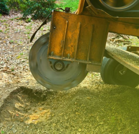 Stump Removal & Grinding in